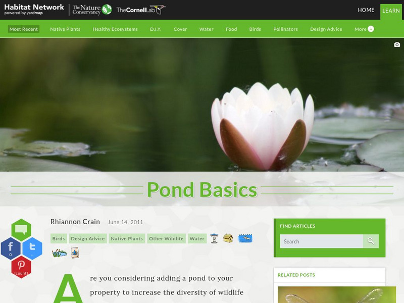 Habitat Network: Pond Basics Article