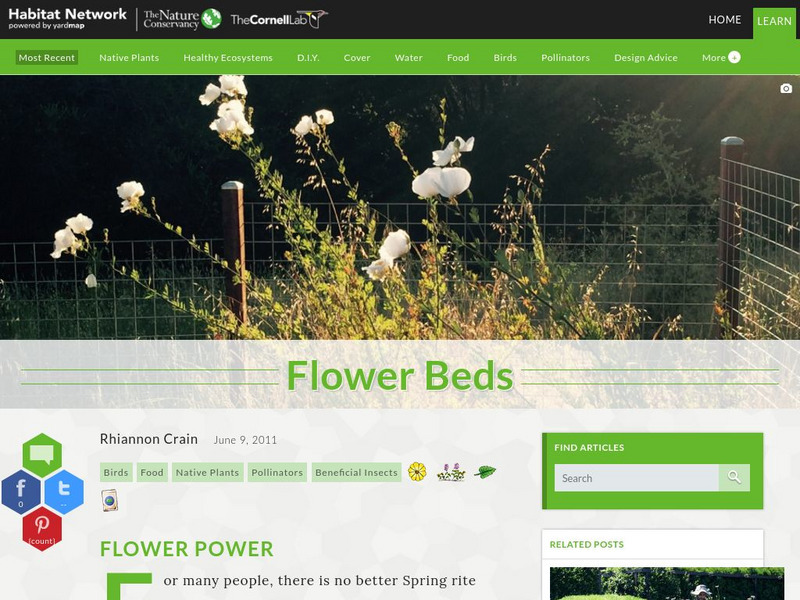 Habitat Network: Flower Beds Article Habitat Network: Flower Beds Article