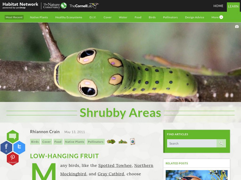 Habitat Network: Shrubby Areas Article Habitat Network: Shrubby Areas Article