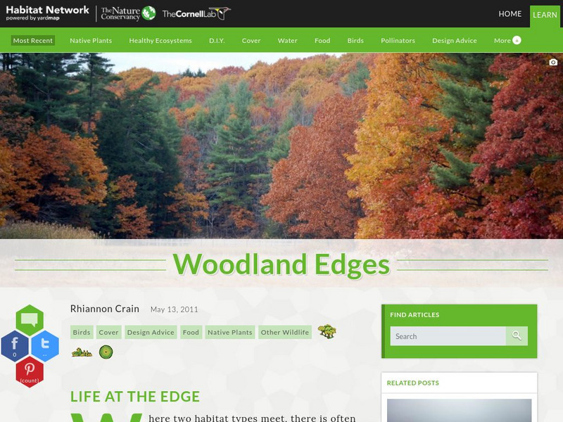 Habitat Network: Woodland Edges Article Habitat Network: Woodland Edges Article