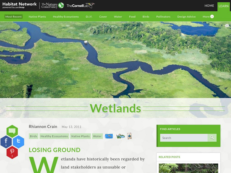 Habitat Network: Wetlands Article Habitat Network: Wetlands Article