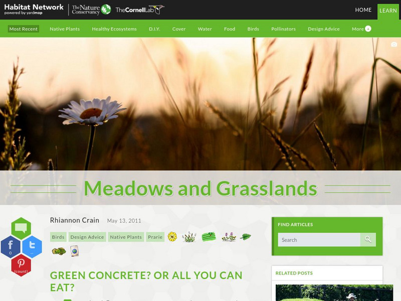 Habitat Network: Meadows and Grasslands Article Habitat Network: Meadows and Grasslands Article