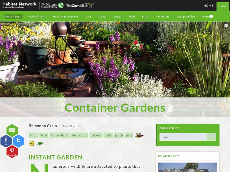Habitat Network: Container Gardens Article Habitat Network: Container Gardens Article