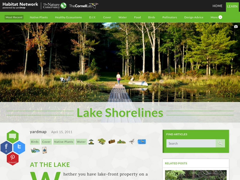 Habitat Network: Lake Shorelines Article Habitat Network: Lake Shorelines Article