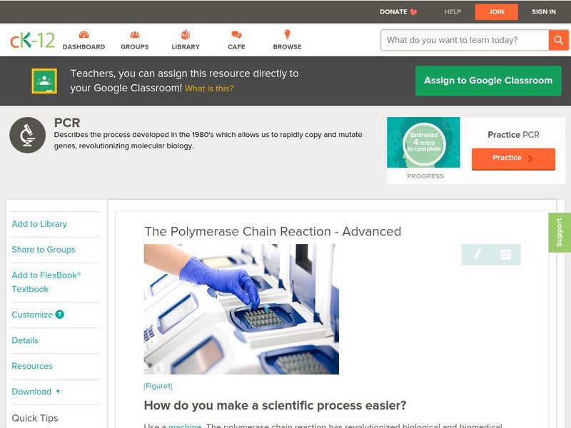 Ck 12: The Polymerase Chain Unit Plan Ck 12: The Polymerase Chain Unit Plan