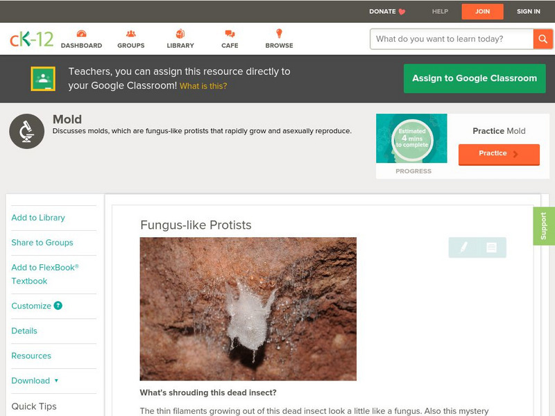 Ck 12: Life Science: Fungus Like Protists Unit Plan Ck 12: Life Science: Fungus Like Protists Unit Plan