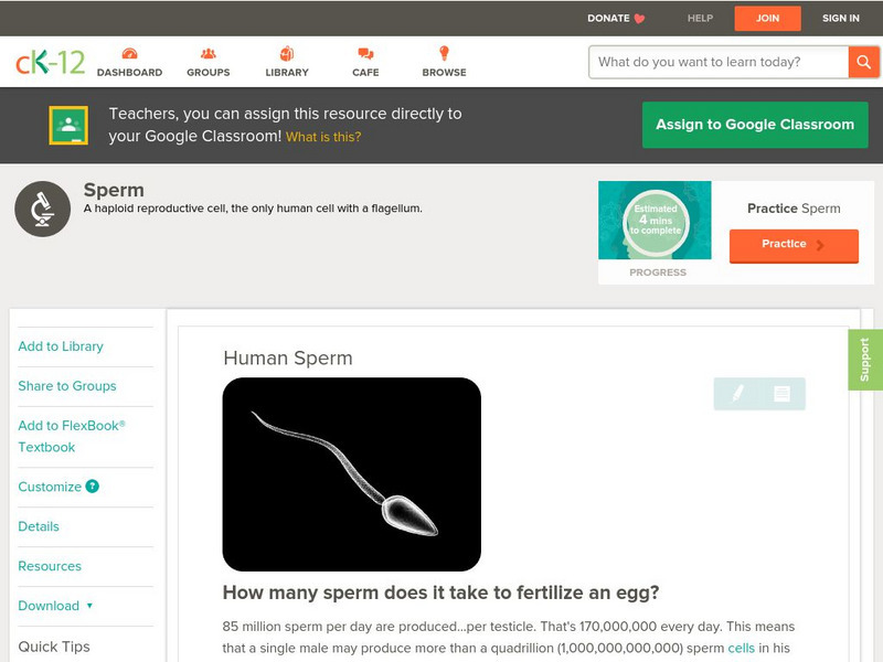 Ck 12: Biology: Human Sperm Unit Plan Ck 12: Biology: Human Sperm Unit Plan