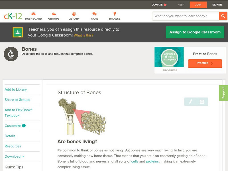 Ck 12: Biology: Structure of Bones Unit Plan