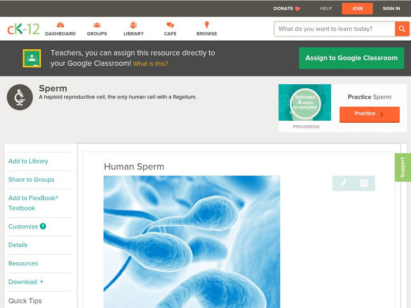 Ck 12: Life Science: Human Sperm Unit Plan Ck 12: Life Science: Human Sperm Unit Plan