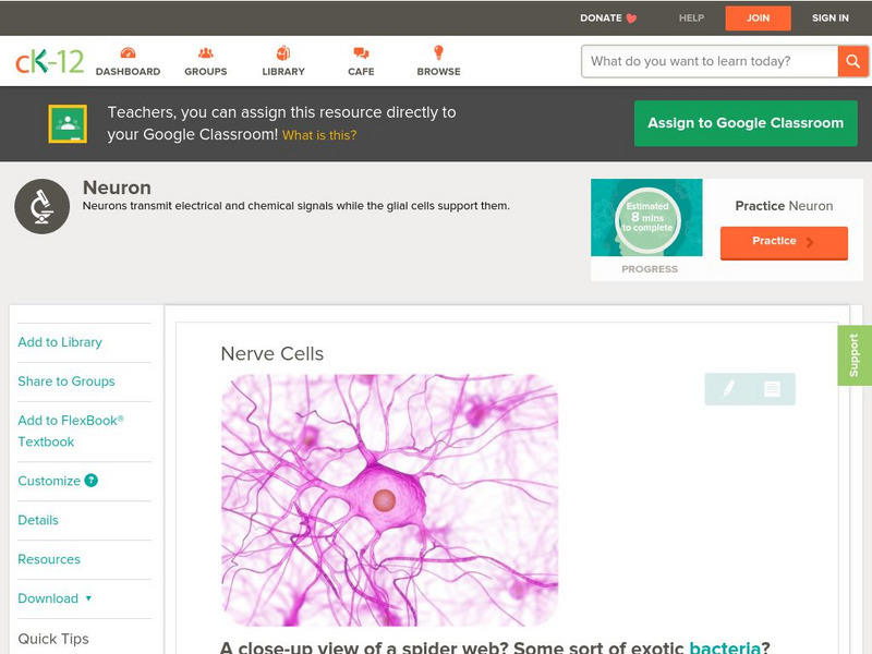 Ck 12: Biology: Nerve Cells Unit Plan Ck 12: Biology: Nerve Cells Unit Plan