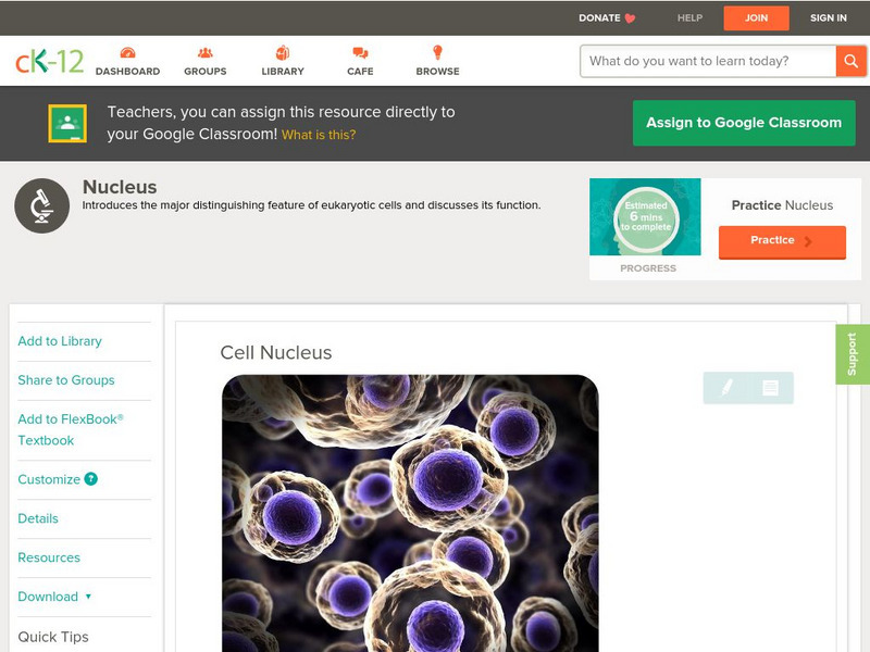 Ck 12: Biology: Cell Nucleus Unit Plan Ck 12: Biology: Cell Nucleus Unit Plan