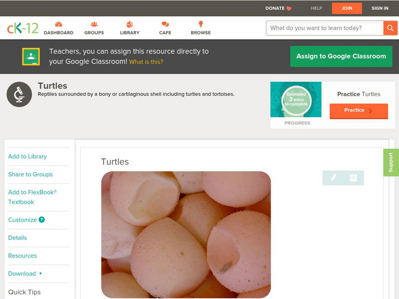 Ck 12: Life Science: Turtles Unit Plan Ck 12: Life Science: Turtles Unit Plan