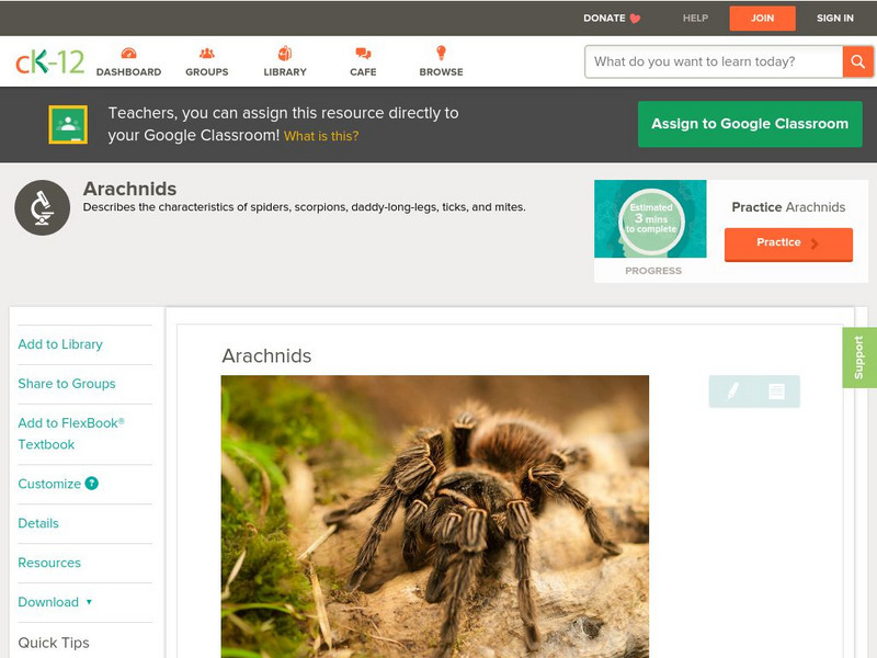 Ck 12: Life Science: Arachnids Unit Plan Ck 12: Life Science: Arachnids Unit Plan