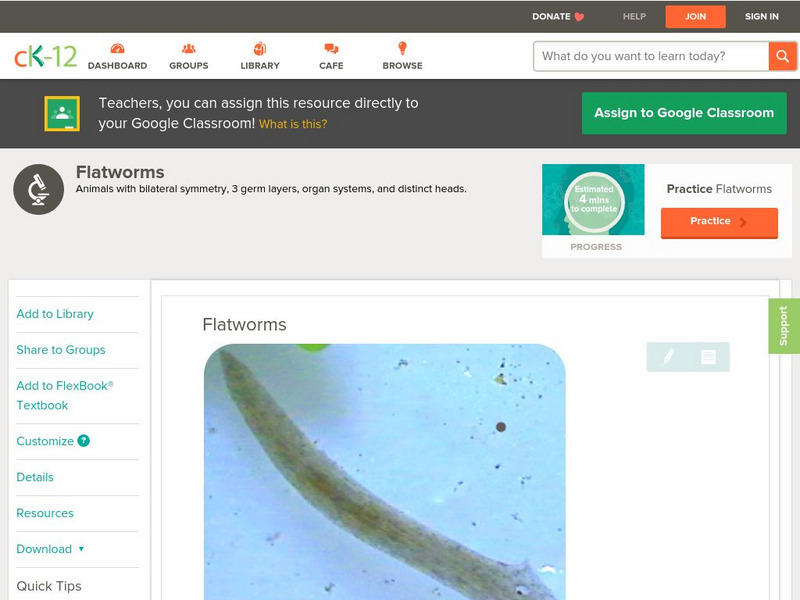 Ck 12: Life Science: Flatworms Unit Plan Ck 12: Life Science: Flatworms Unit Plan