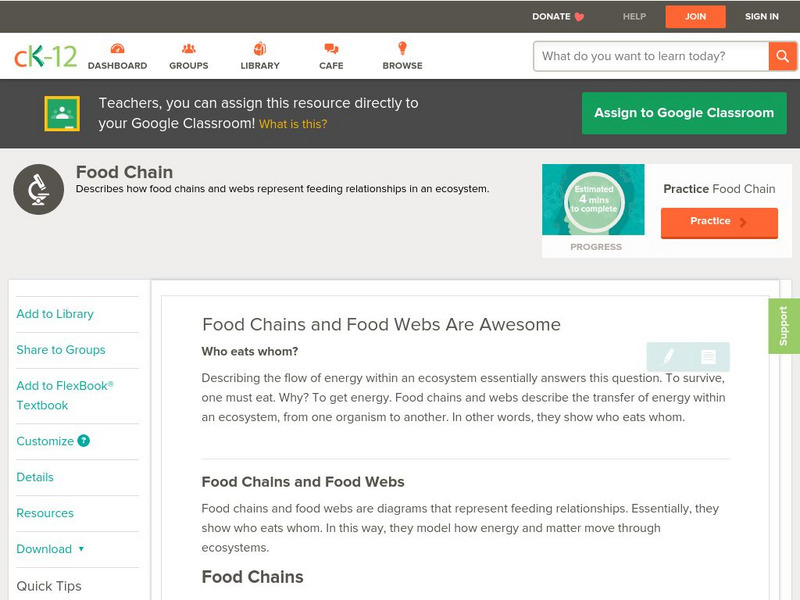 Ck 12: Biology: Food Chains and Food Webs Unit Plan Ck 12: Biology: Food Chains and Food Webs Unit Plan