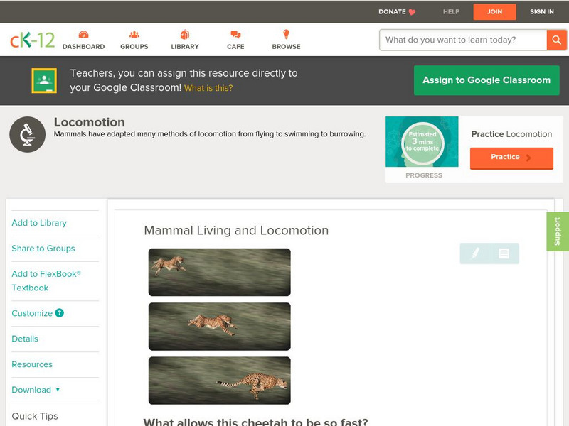 Ck 12: Biology: Mammal Living and Locomotion Unit Plan Ck 12: Biology: Mammal Living and Locomotion Unit Plan