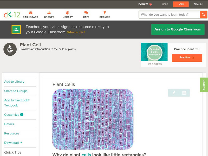 Ck 12: Biology: Plant Cells Unit Plan Ck 12: Biology: Plant Cells Unit Plan