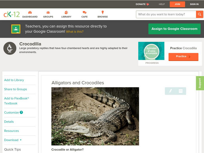 Ck 12: Life Science: Alligators and Crocodiles Unit Plan Ck 12: Life Science: Alligators and Crocodiles Unit Plan