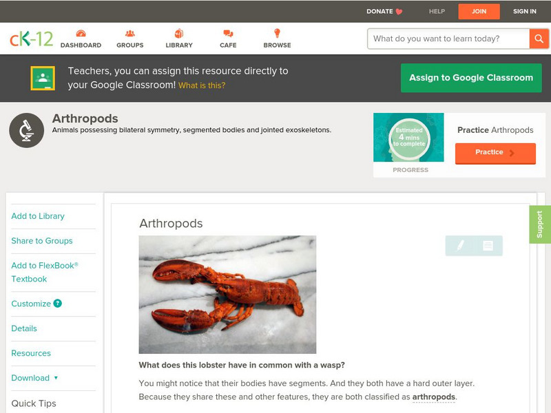 Ck 12: Life Science: Arthropods Unit Plan Ck 12: Life Science: Arthropods Unit Plan