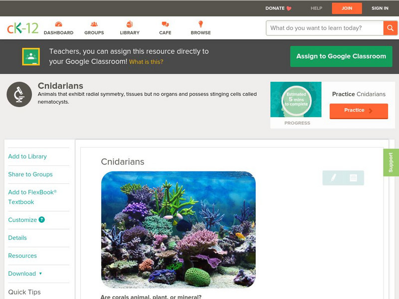 Ck 12: Life Science: Cnidarians Unit Plan Ck 12: Life Science: Cnidarians Unit Plan