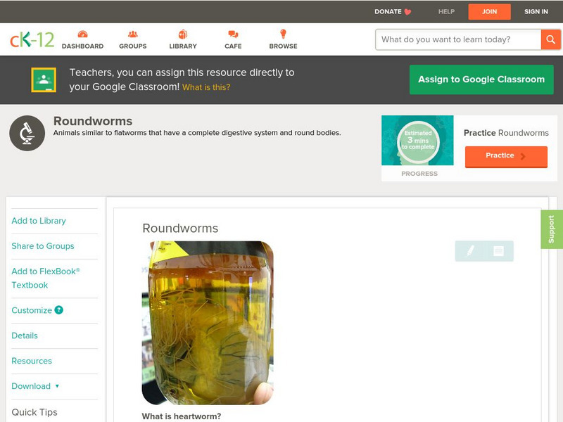 Ck 12: Life Science: Roundworms Unit Plan Ck 12: Life Science: Roundworms Unit Plan