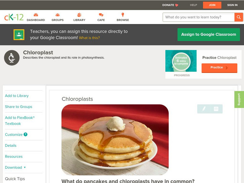 Ck 12: Biology: Chloroplasts Unit Plan Ck 12: Biology: Chloroplasts Unit Plan