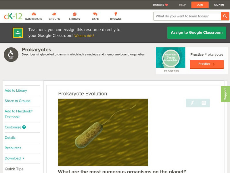 Ck 12: Biology: Prokaryote Evolution Unit Plan Ck 12: Biology: Prokaryote Evolution Unit Plan