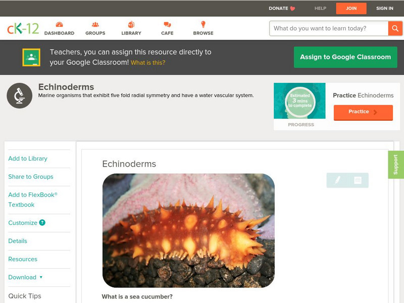 Ck 12: Life Science: Echinoderms Unit Plan Ck 12: Life Science: Echinoderms Unit Plan