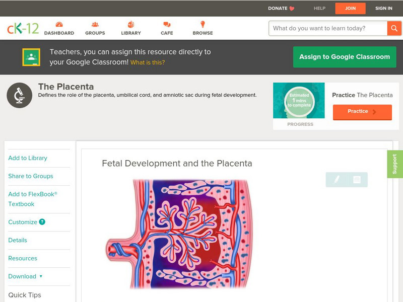 Ck 12: Biology: Fetal Development and the Placenta Unit Plan Ck 12: Biology: Fetal Development and the Placenta Unit Plan