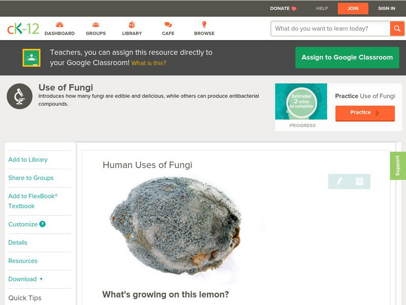 Ck 12: Biology: Human Uses of Fungi Unit Plan Ck 12: Biology: Human Uses of Fungi Unit Plan