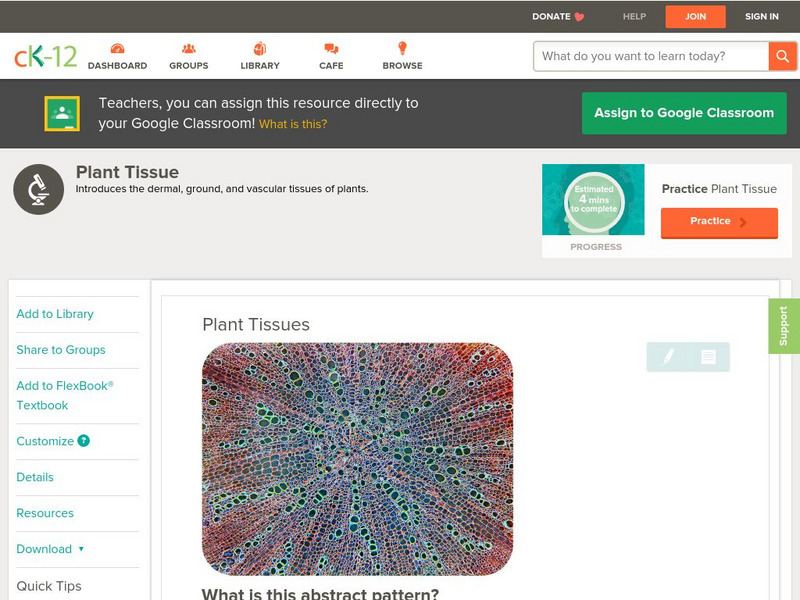 Ck 12: Biology: Plant Tissues Unit Plan Ck 12: Biology: Plant Tissues Unit Plan