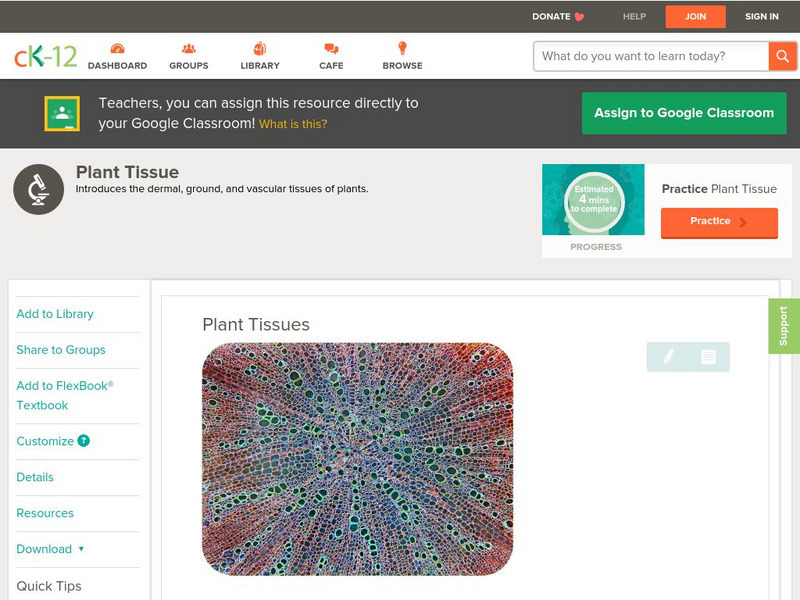 Ck 12: Biology: Plant Tissues Unit Plan