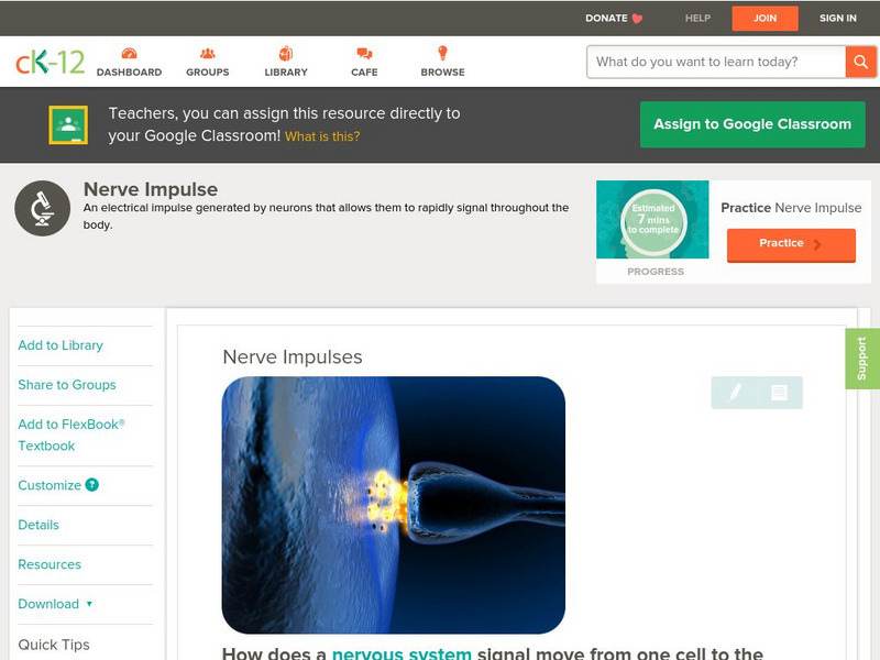 Ck 12: Biology: Nerve Impulses Unit Plan Ck 12: Biology: Nerve Impulses Unit Plan