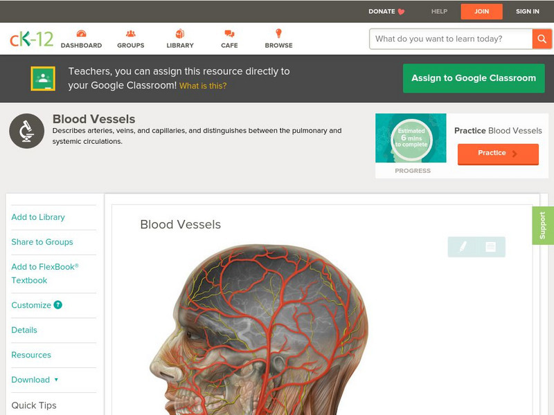 Ck 12: Life Science: Blood Vessels Unit Plan Ck 12: Life Science: Blood Vessels Unit Plan
