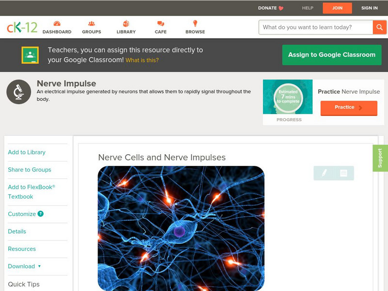 Ck 12: Life Science: Nerve Cells and Nerve Impulses Unit Plan