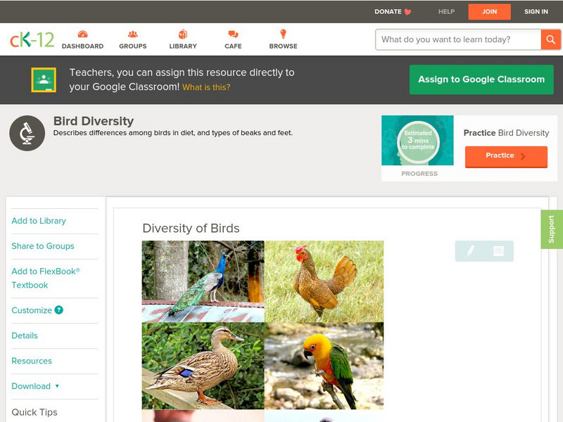 Ck 12: Life Science: Diversity of Birds Unit Plan Ck 12: Life Science: Diversity of Birds Unit Plan