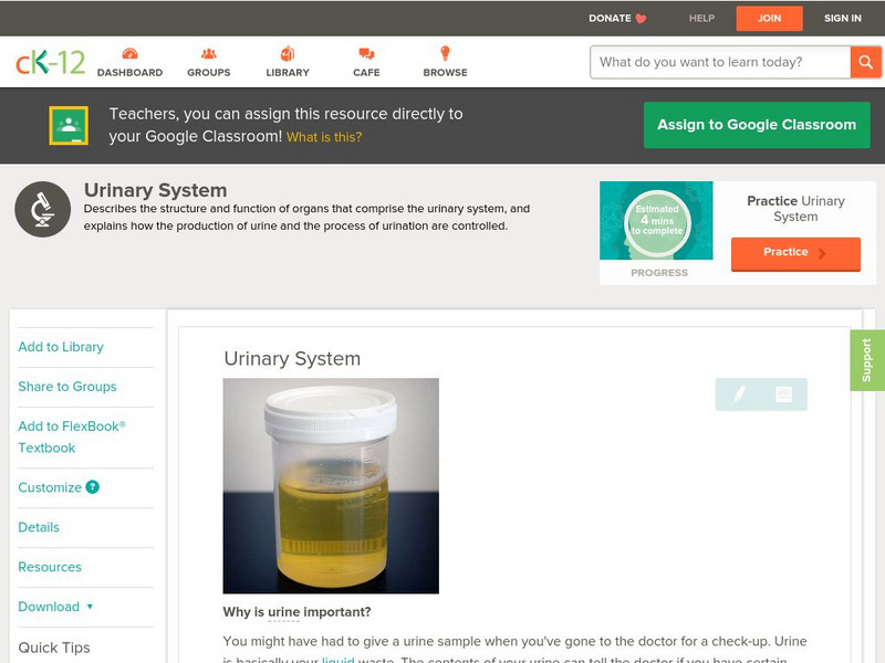 Ck 12: Life Science: Urinary System Unit Plan Ck 12: Life Science: Urinary System Unit Plan