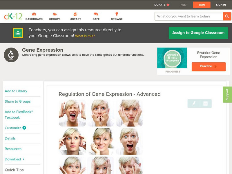 Ck 12: Gene Expression & Regulation: Regulation of Gene Expression Advanced Unit Plan