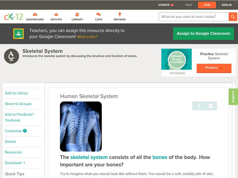 Ck 12: Biology: Human Skeletal System Unit Plan Ck 12: Biology: Human Skeletal System Unit Plan