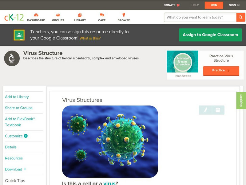 Ck 12: Biology: Virus Structures Unit Plan