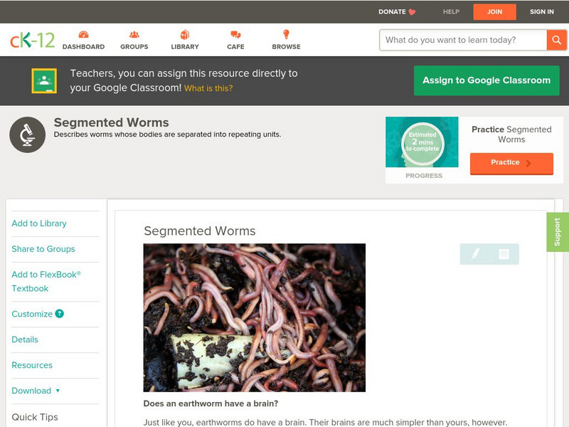 Ck 12: Life Science: Segmented Worms Unit Plan Ck 12: Life Science: Segmented Worms Unit Plan