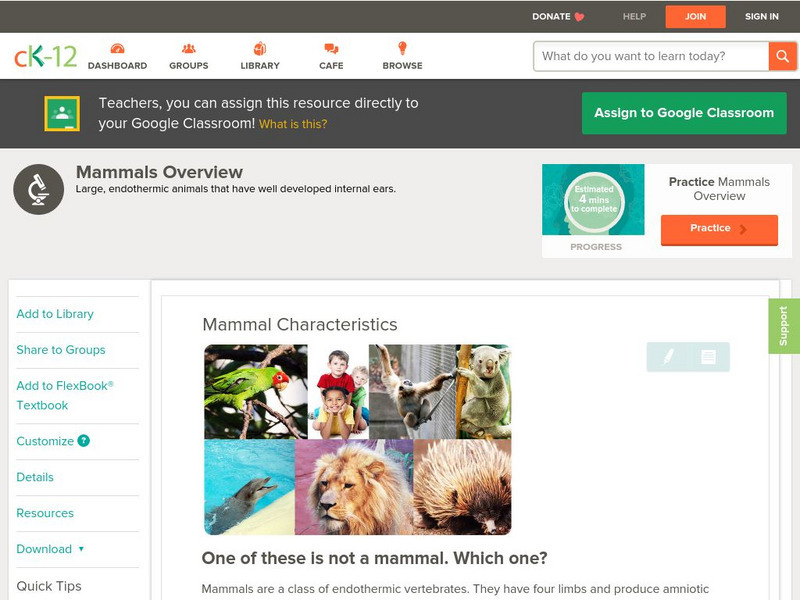 Ck 12: Biology: Mammal Characteristics Unit Plan Ck 12: Biology: Mammal Characteristics Unit Plan