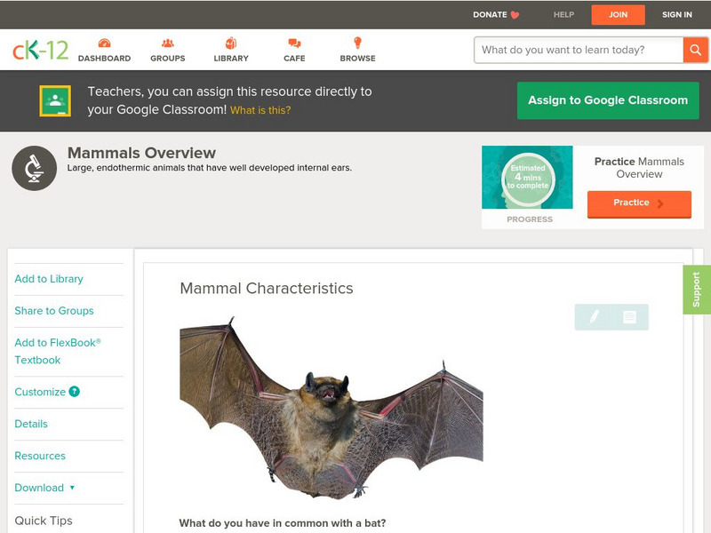 Ck 12: Life Science: Mammal Characteristics Unit Plan Ck 12: Life Science: Mammal Characteristics Unit Plan