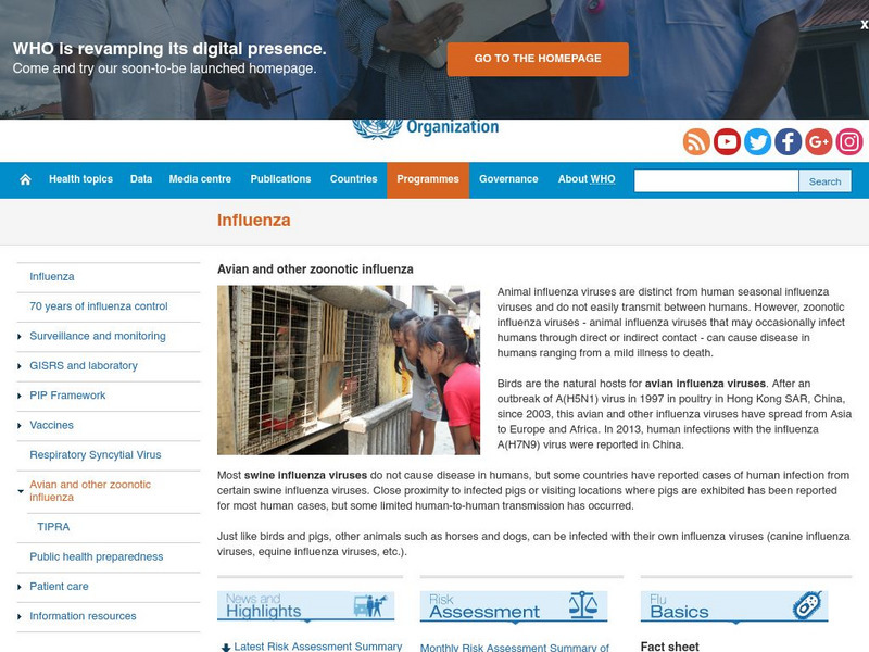 World Health Organization: Avian Influenza (Bird Flu) Handout World Health Organization: Avian Influenza (Bird Flu) Handout