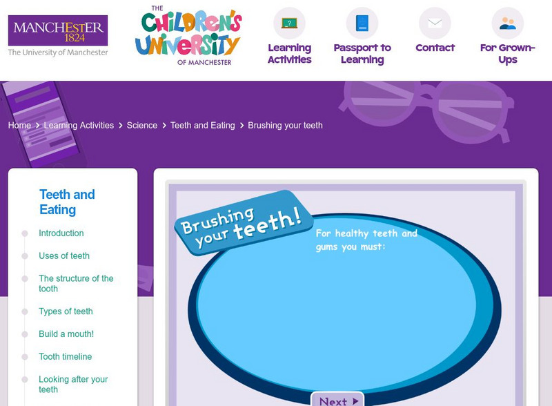 Children's University of Manchester: Teeth and Eating: Brushing Your Teeth! Interactive