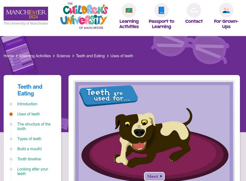Children's University of Manchester: Teeth and Eating: Uses of Teeth Interactive