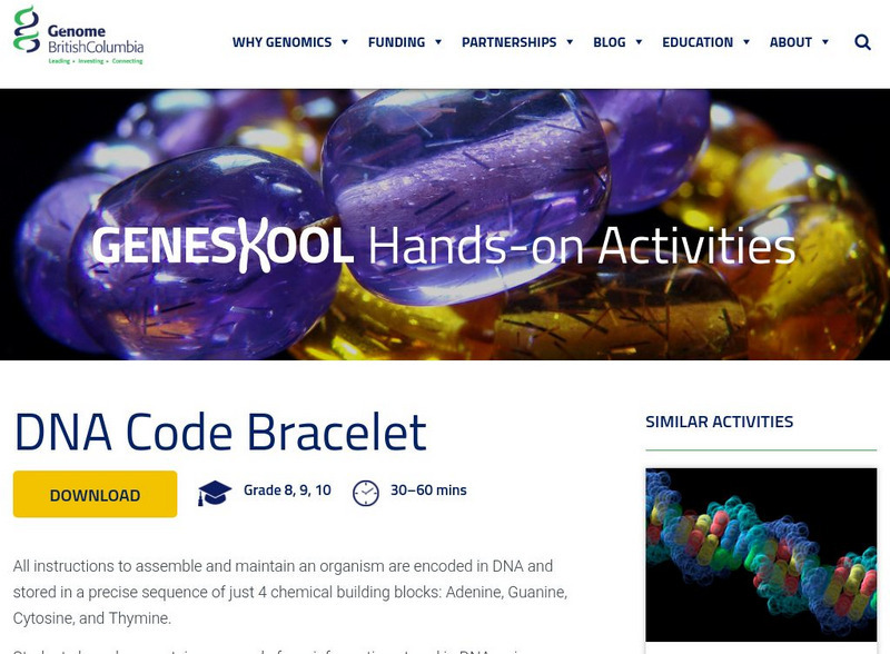 Genome British Columbia: Dna Code Bracelet Activity Genome British Columbia: Dna Code Bracelet Activity