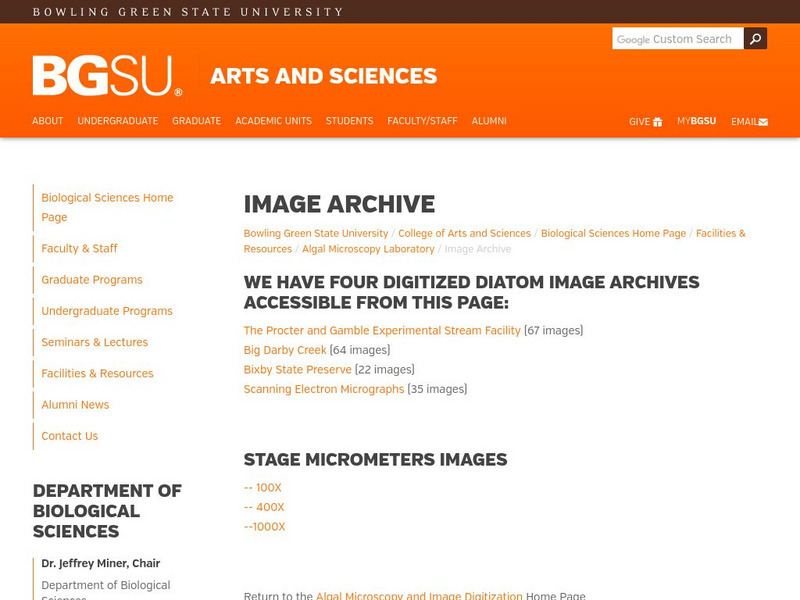 Bowling Green State University: Algal Image Archive Graphic