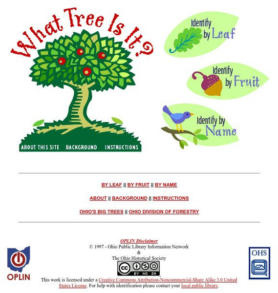 Ohio Public Library: What Tree Is It? Interactive Ohio Public Library: What Tree Is It? Interactive