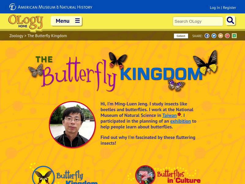 American Museum of Natural History: Ology: The Butterfly Kingdom Website American Museum of Natural History: Ology: The Butterfly Kingdom Website